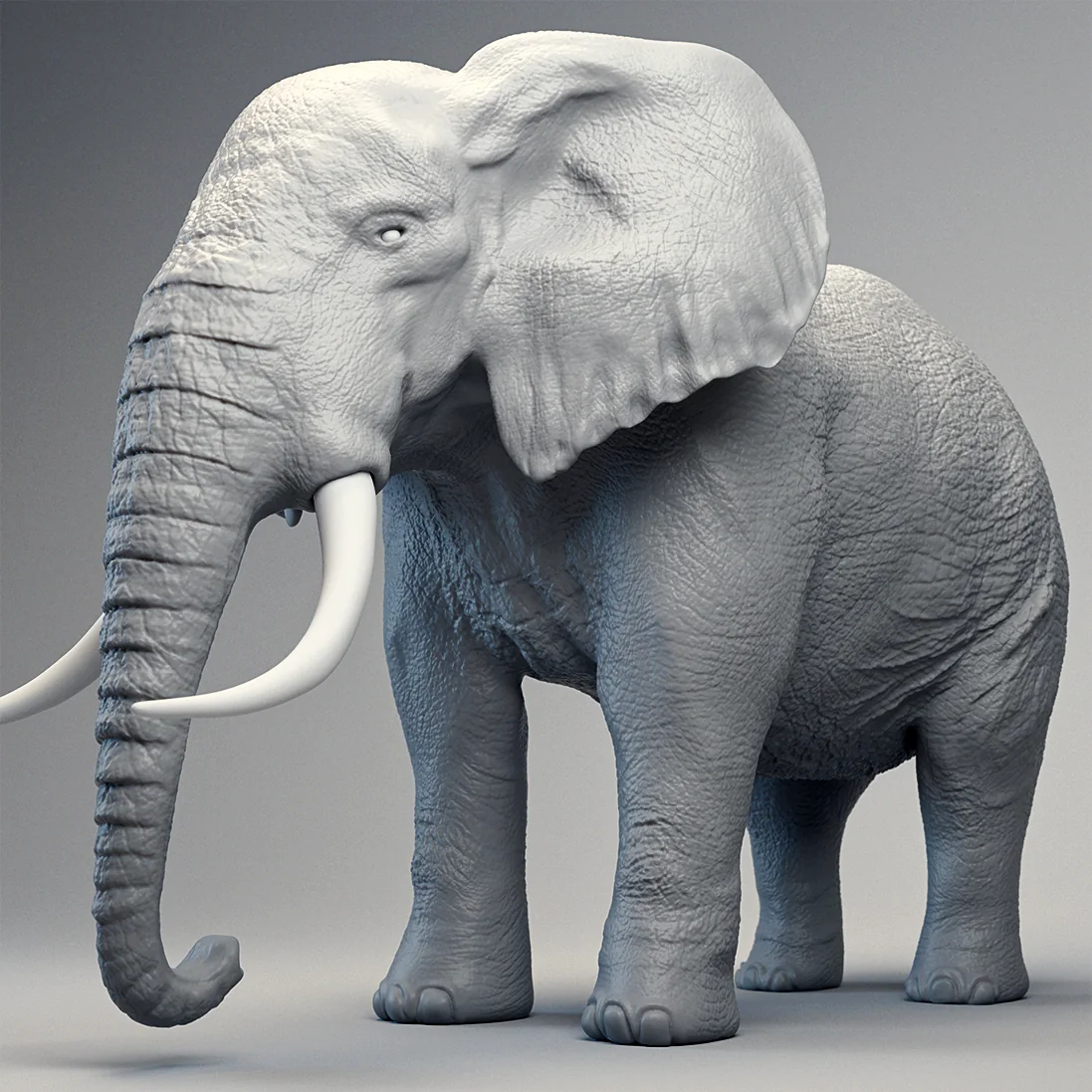 Elephant · Sculpting