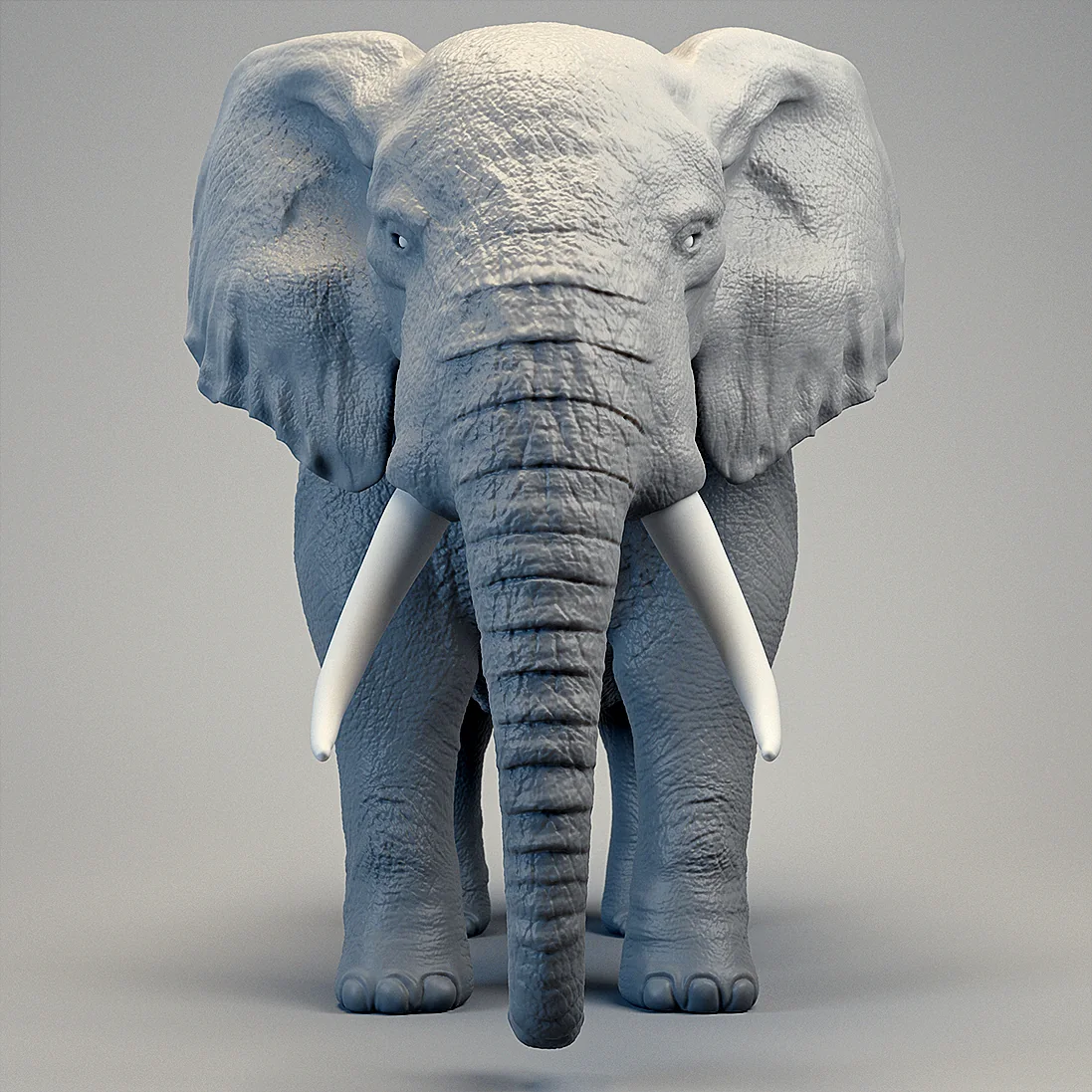 Elefant – Projektansicht 2