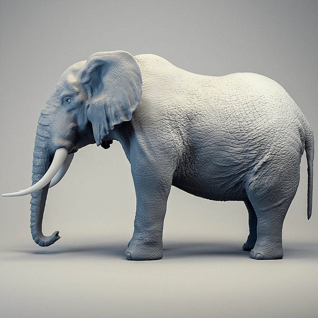 Elefant – Projektansicht 3
