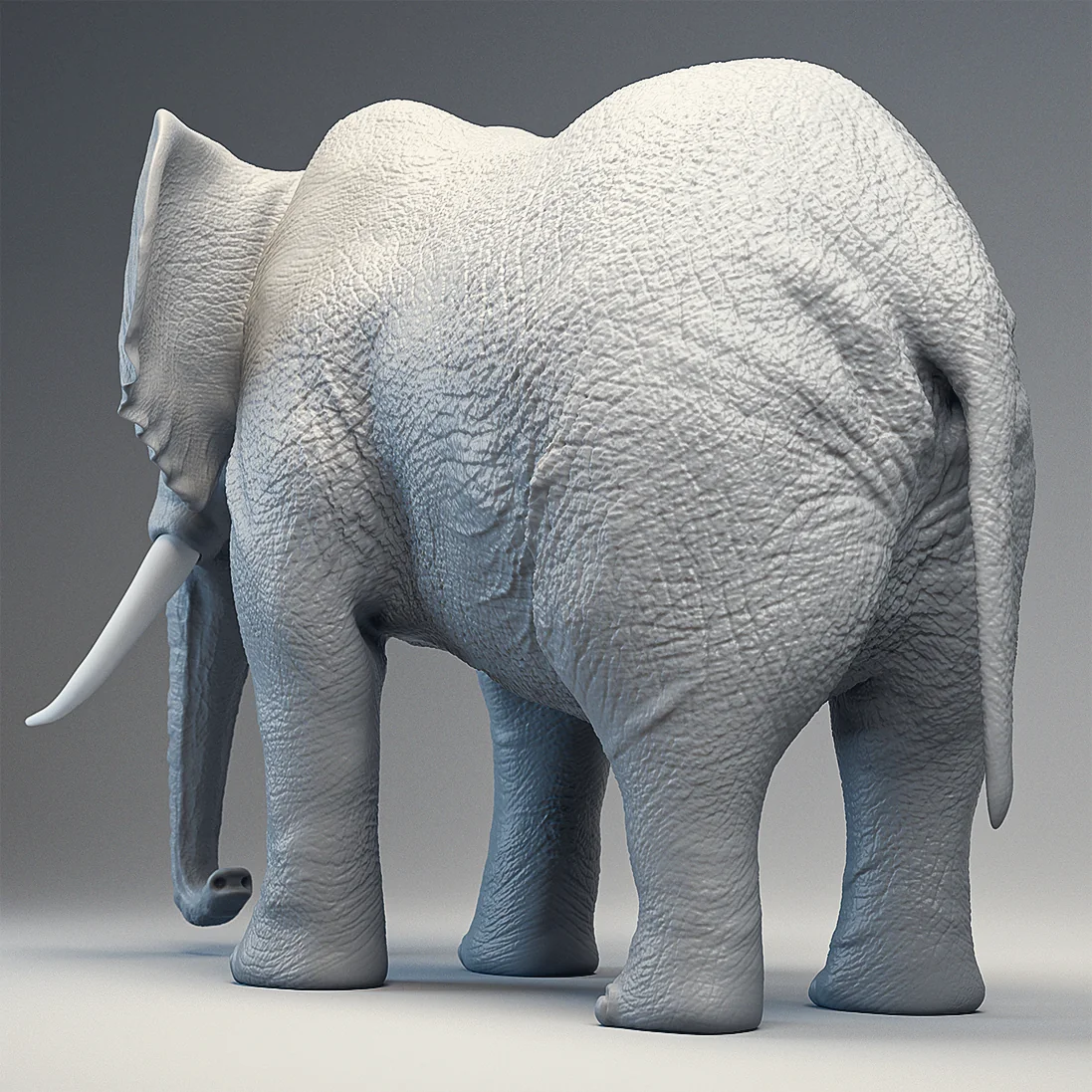 Elefant – Projektansicht 4
