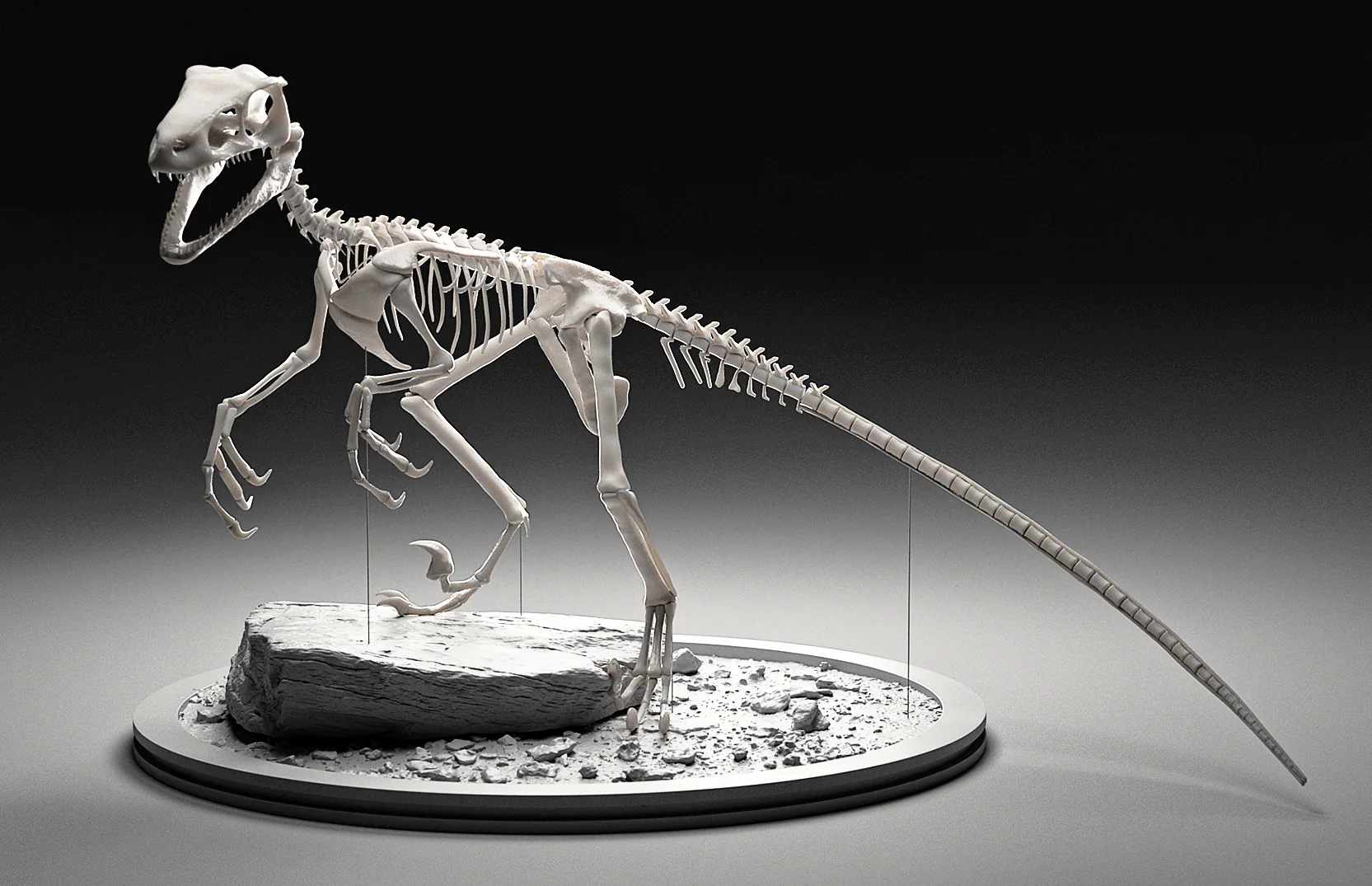 Velociraptor – anatomischer Aufbau und Rigging