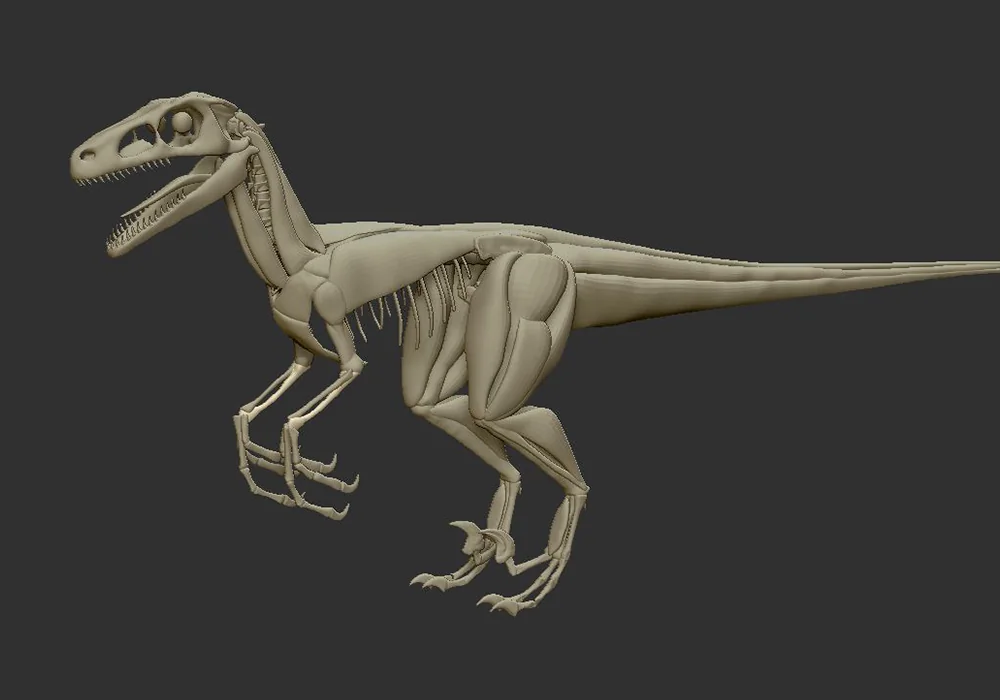Velociraptor Skelett – Projektansicht 6